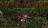 Termigon Warrior