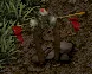 Lizard Totem