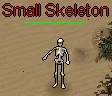 Small Skeleton