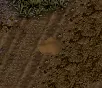 Seed Mound