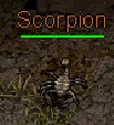 Scorpion