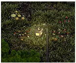 Foraging Spots