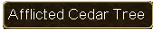 Afflicted Cedar Tree Tag