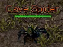 Cave Spider