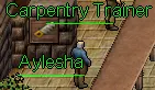 Carpentry Trainer