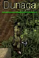 Dunaga