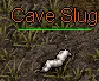 Cave Slug