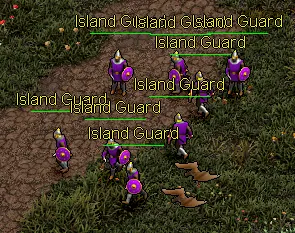 Island Guard on the move