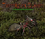Termigon