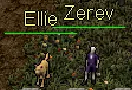 Zerev