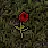 Withering Flower