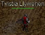 Tvistia Llywenen