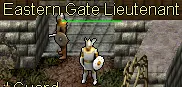 Eastern Gate Guard