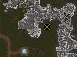 Nest Location