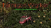 Termigon Worker