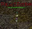 Rancid Zombie