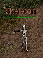 Skeleton