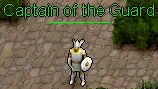 Captain of the Guard