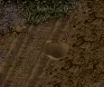 Fresh Soil