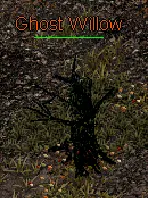 Ghost Willow