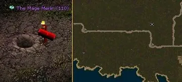 Ant Pit