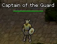 Captain of the Guard